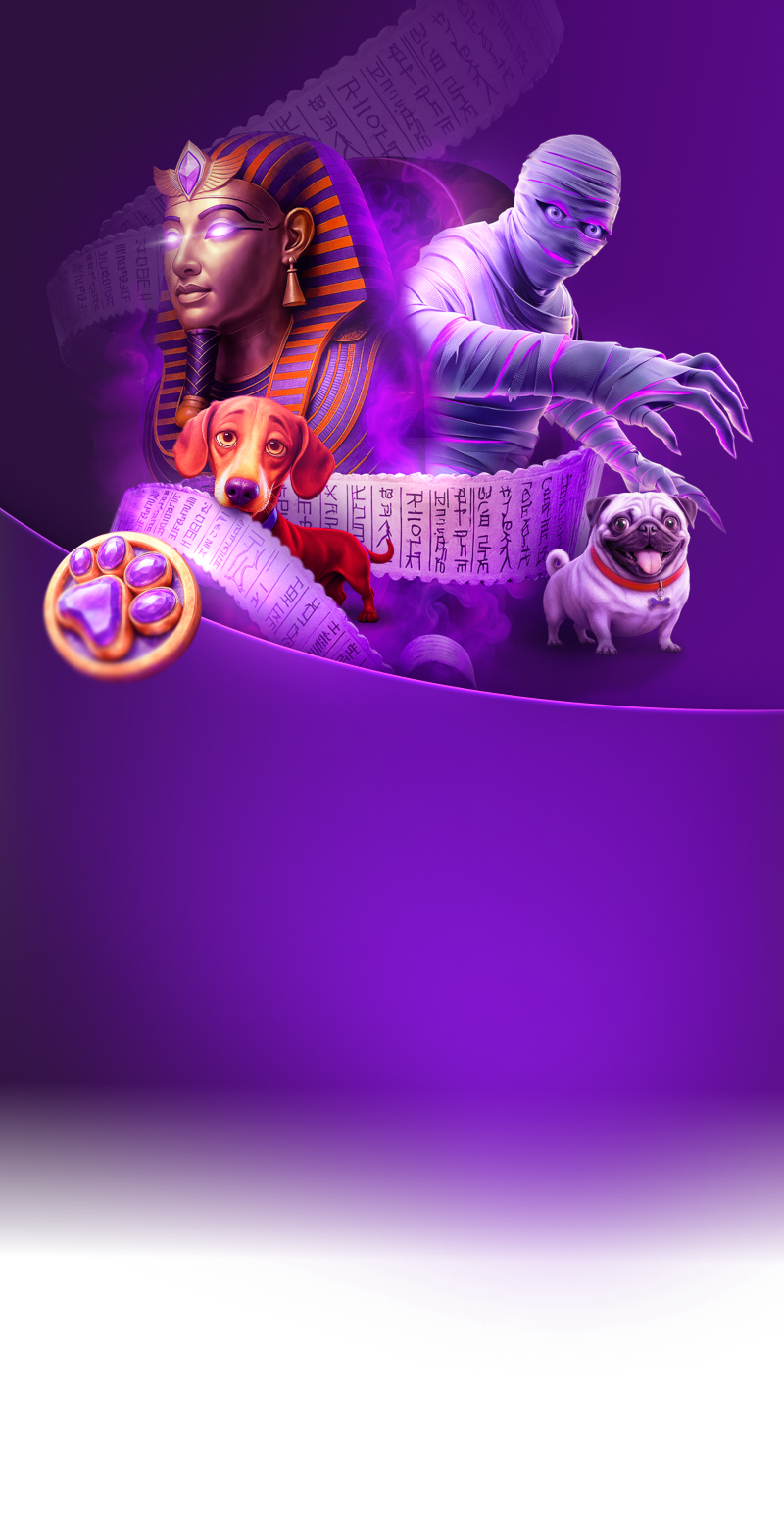 TonyBet Mobile Visual